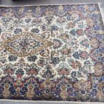 969 3591 ORIENTAL RUG